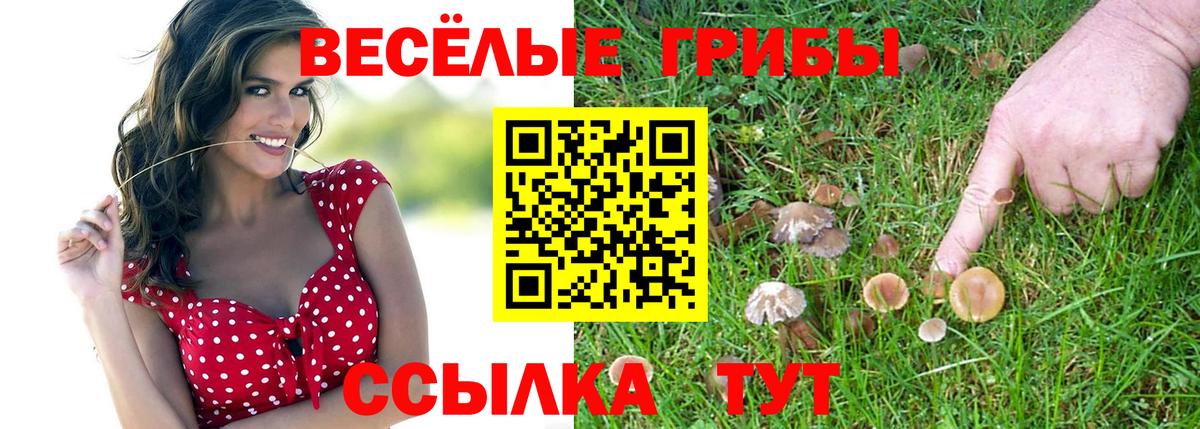 Галлюциногенные грибы мицелий Узловая