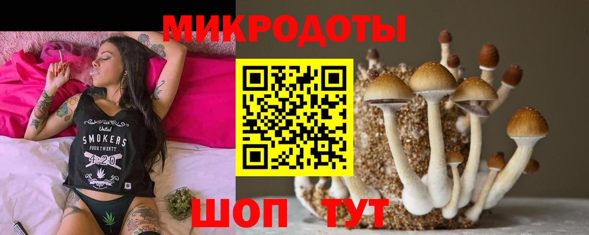 Галлюциногенные грибы Psilocybine cubensis  Вход с VPN  Узловая  купить закладку  Псилоцибиновые грибы прущие грибы 